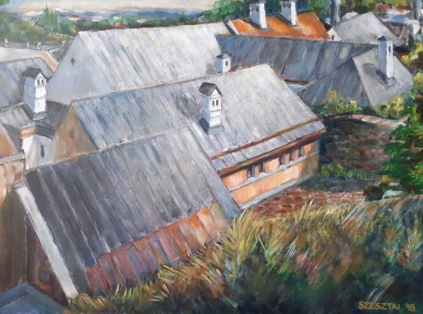 Tin roofs in Banská Štiavnica