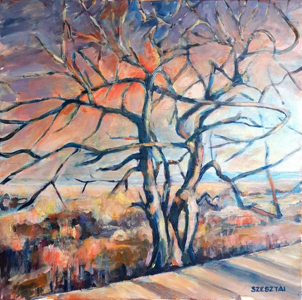 A tree at Normafa
