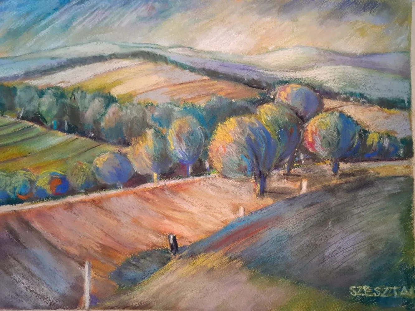 Hills of Zala